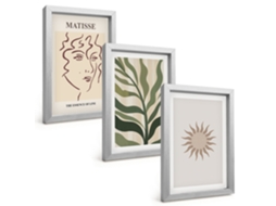 Conjunto De Pinturasplanta Abstrata Padrões Moldura Prateada Quadros Para A Sala De Estar Espelharte (3 Peças 20x30 Cm)