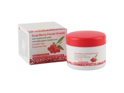 Creme Facial Anti-envelhecimento Hidratante Com Antioxidantes