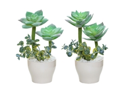 2pcs Suculentas Artificiais Em Miniatura, Bonsai De Suculentas Falsas, Plantas Simuladas Em Vaso, Enfeites Pequenos Criativos