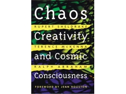 Livro Chaos, Creativity, and Cosmic Consciousness de Rupert Sheldrake, Terence Mckenna et al. (Inglês)