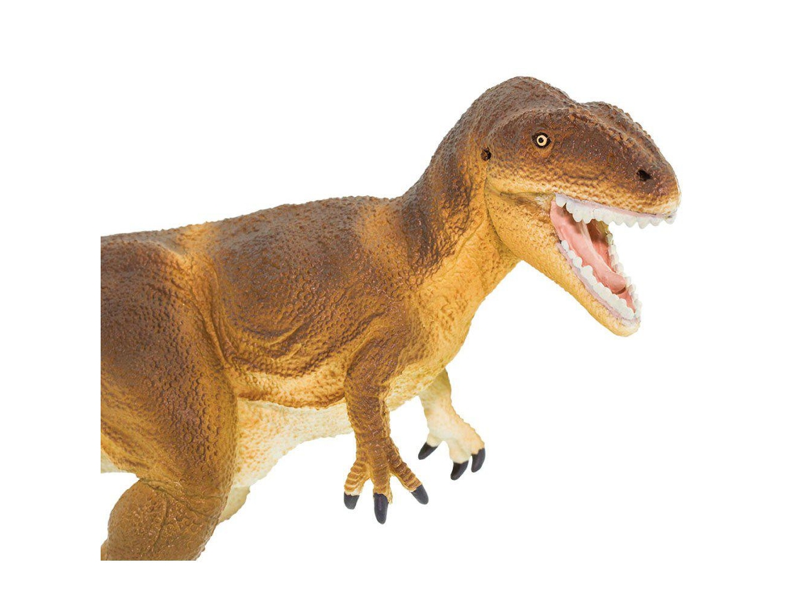 SAFARI Carcharodontosaurus