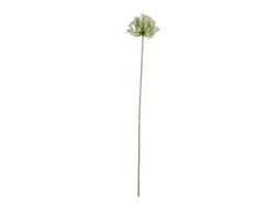 Haste Artificial Agapanto 75Cm - de ko ASA SELECTION