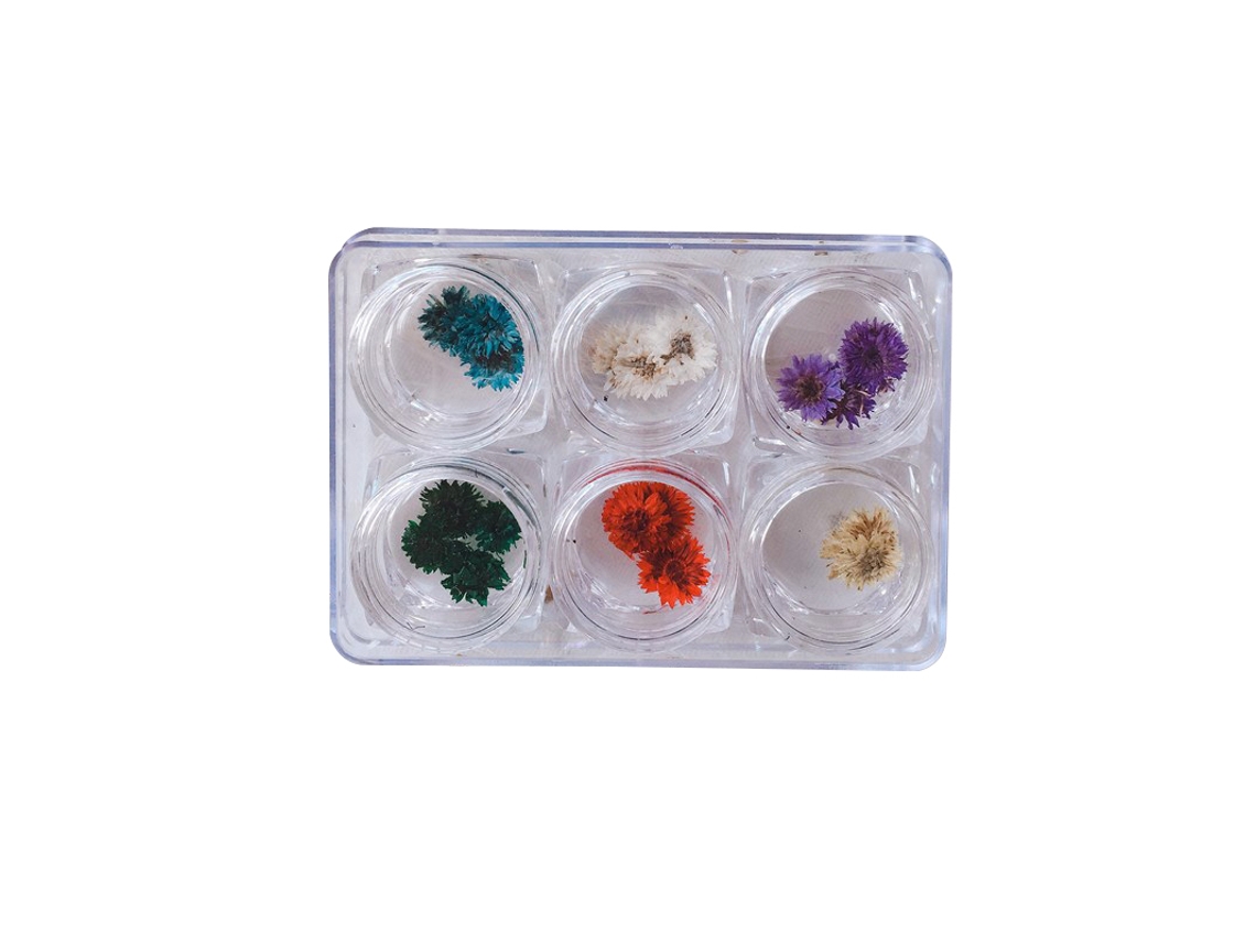 Decoração De Unhas Com Flores Secas Naturais Adesivo De Girassol Ferramenta Diy Para Manicure 1