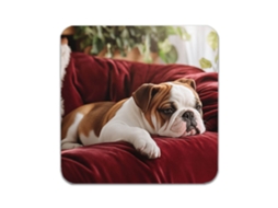 Conjunto de 2 porta-flakes com estampa de Bulldog Inglês AQUAFORGE