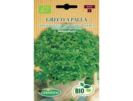 Sementes  Bio Sementes Manjericão Grego