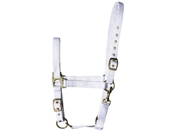 Conjunto de 3 cabresto de cavalos Harry's Horse