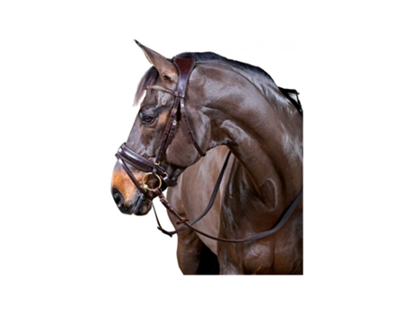 Cabeçadas de Equitação HORSEGUARD Ergo