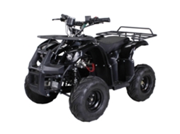 Quadriciclo Elétrico Infantil S-8 Farmer, Midi-quadriciclo Com 1000 Watts, Freios A Disco/tambor, Até 20 Km/h, A Partir De 8 Anos.