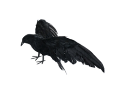 Decoración De Corvo Para Halloween: Figura De Corvo Como Adorno De Halloween