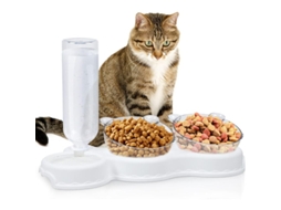 Tigela Dupla Elevada para Ração de Gatos, Dispensador 3 em 1 para Água e Comida, Inclinação de 15° Anti vômito, Antiderrapante AQUAFORGE