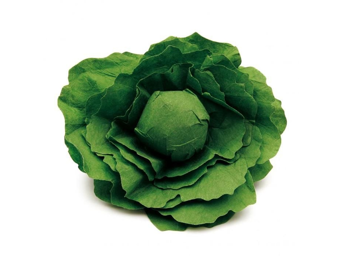 Erzi, Verde Alface BRILVIBERA