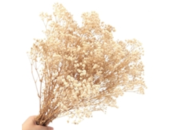 1 Haste de Flores Véu Noiva Secas Naturalmente, Véu de Noiva BRILVIBERA