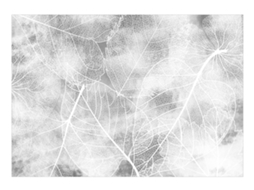Papel de Parede ARTGEIST Nature in My Home - Third Variant (147x105)