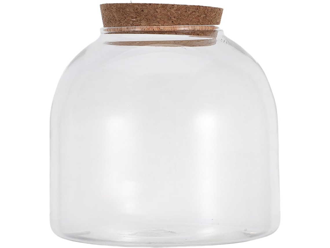 Kichouse Terrário de Musgo em Vidro, Vaso de Vidro Hidropônico para Aquários, Miniatura de Jardim Hidropônico para CHABERLU