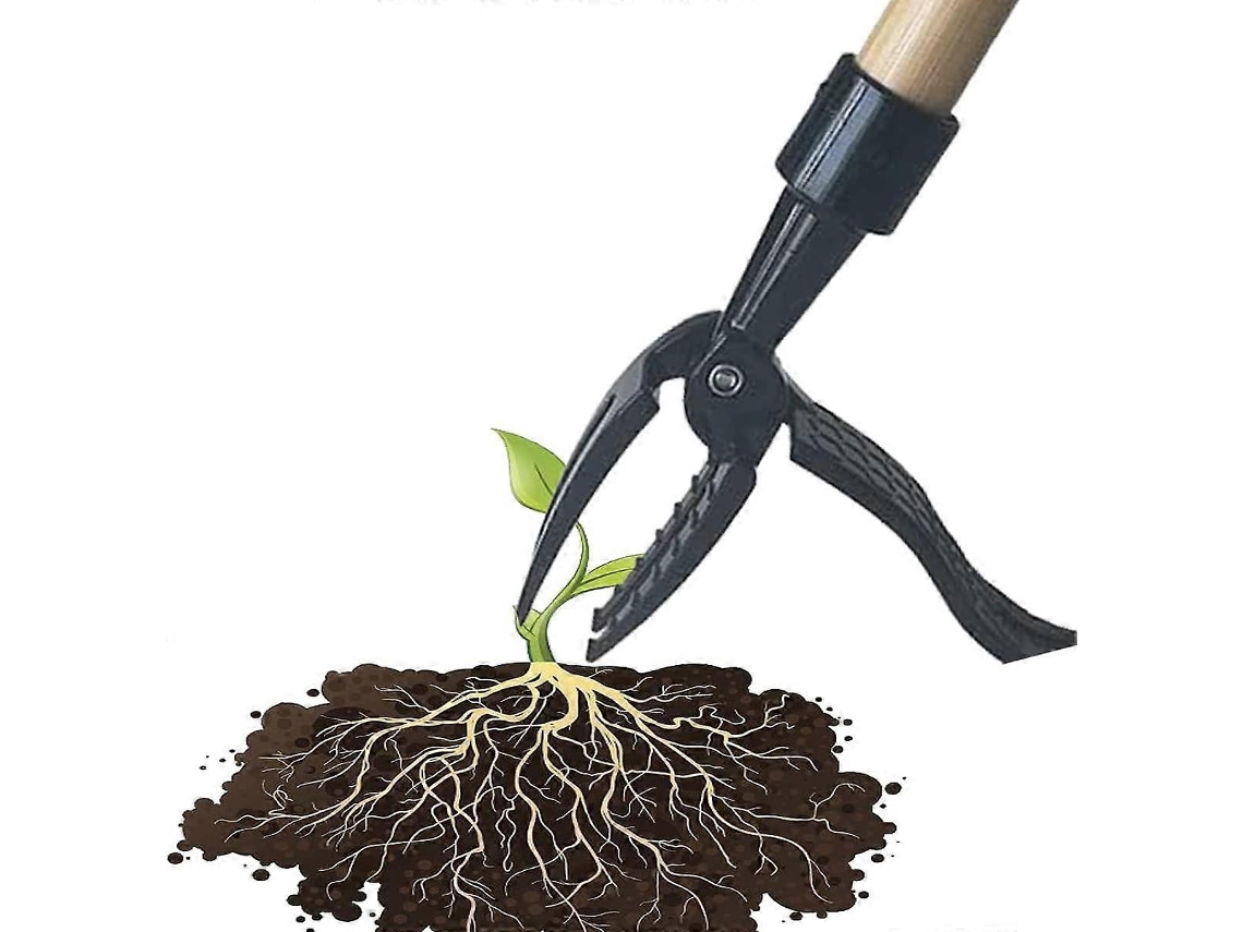 Removedor de Ervas Daninhas de Metal, com Suporte para Instalação em Pé, Possui um Design com Raízes Que Evitam o Reaparecimento AQUAFORGE