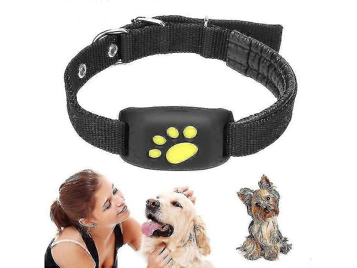 Rastreador Gps Para Colar De Gatos E Cãessizegreen