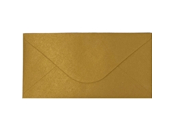 Envelope Dl Dourado 110x220cm Note!