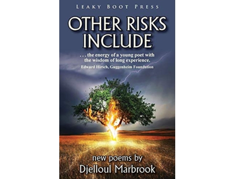 Livro Other Risks Include de Djelloul Marbrook (Inglês)
