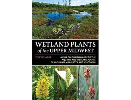 Livro Wetland Plants of the Upper Midwest de Steve W Chadde (Inglês)