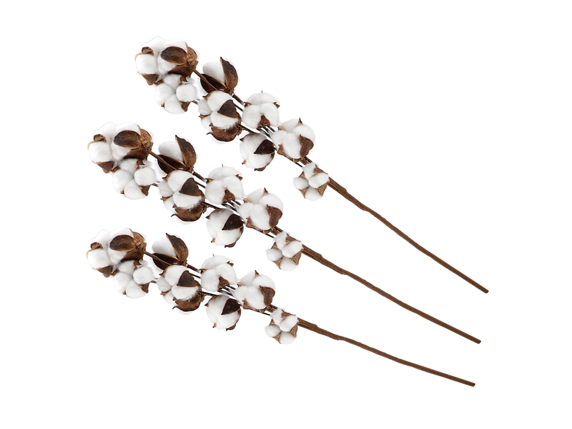 3pcs Caule De Algodão Natural 60cm Flor Seca Para Decoração Casamento Casa