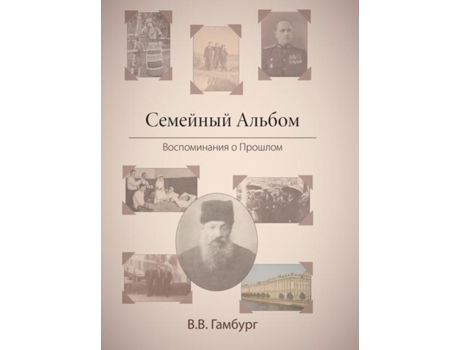 Livro The Family Album Reminiscing About The Past De Veronica B Gamburg (inglês)