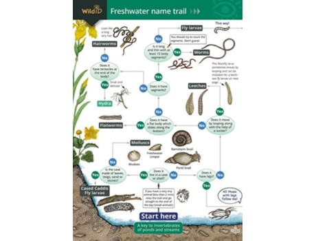 Livro The Freshwater name trail de Richard Orton (Inglês)
