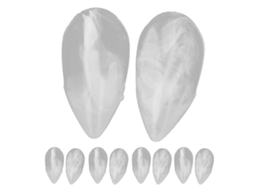 KOFIHETY Conjunto De Dentes Falsos Para Festa De Halloween Dentaduras De Resina Transparente, 10 Unidades, Acessório Para Cosplay E Decoração