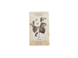 Novo Jogo de Cartas Oráculo Popular com Tema de Plantas MDUG (estilo 1)
