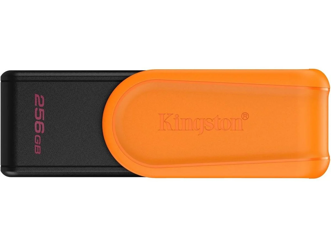 Pen USB KINGSTON (256GB 3.2 - GEN 1)