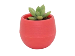 Vasinho De Plástico Para Suculentas E Mudas Jardim Varanda Vinho Tinto