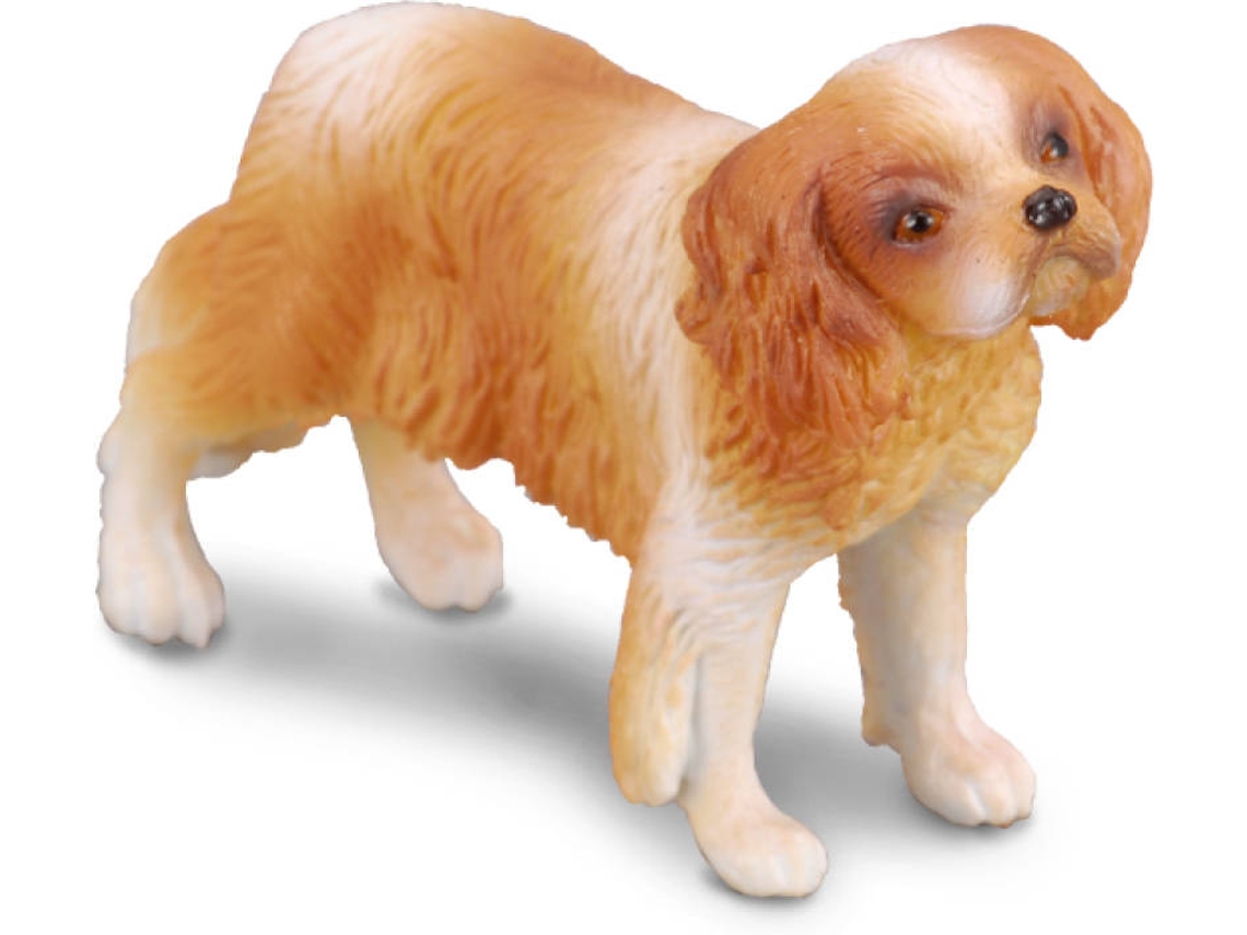 Figura COLLECTA 9588181