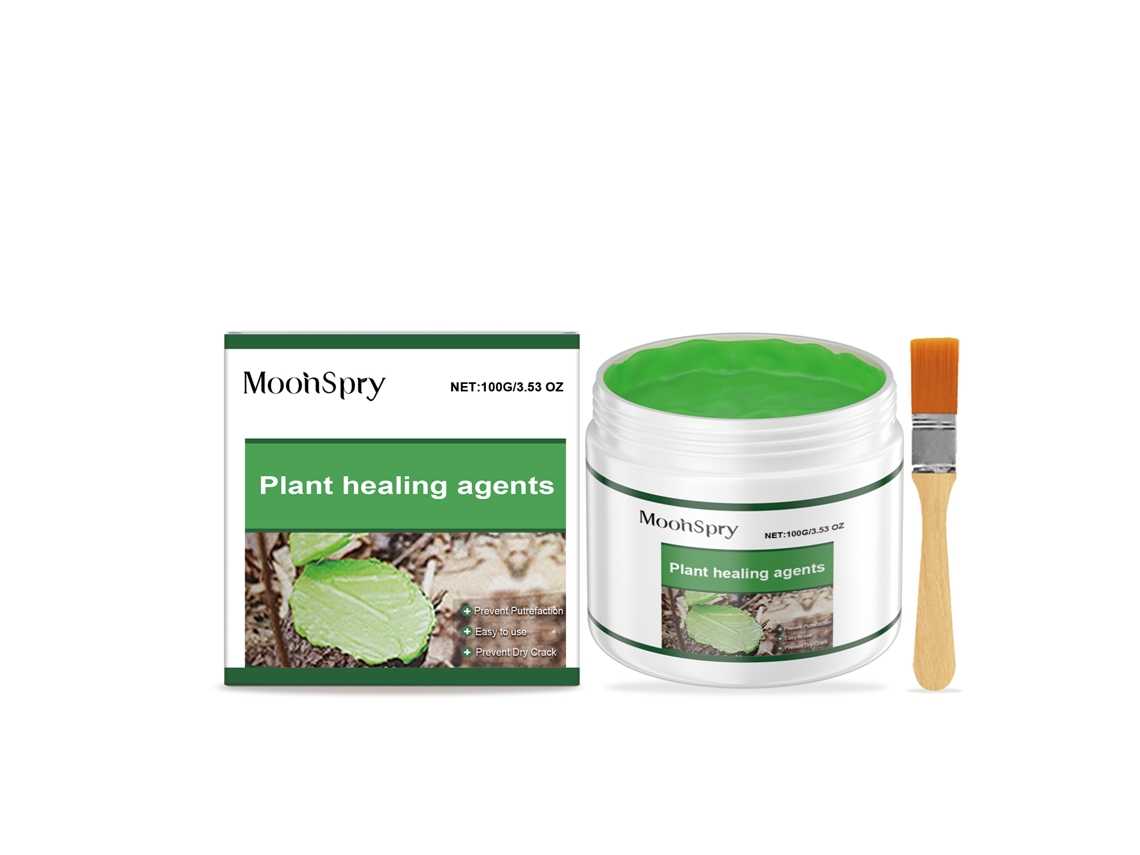 Fragrância Eterna Dragão Antigo LAXISCREED