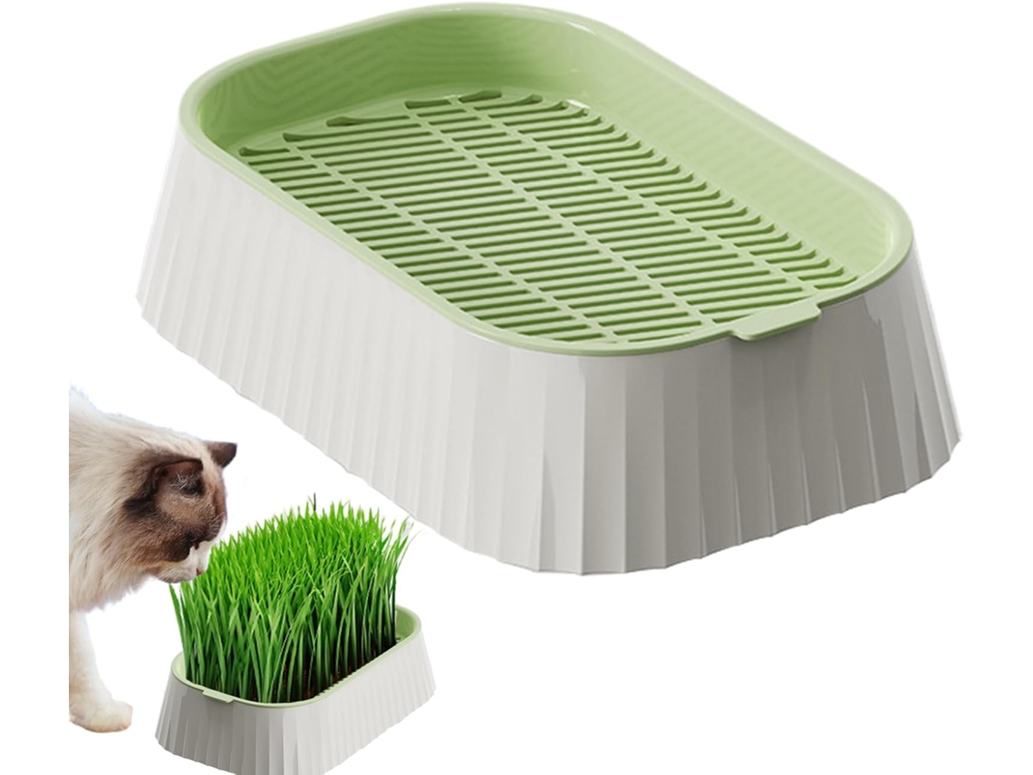 Vaso para Grama de Gato Vaso Hidropônico para Grama de Gato plantio de Camada Dupla para Recipientes Sem Solo, CHABERLU