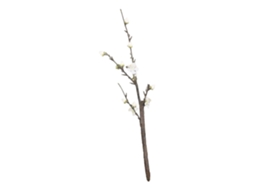 Novo Arranjo Floral De Galhos De Flores De Ameixavayotoy