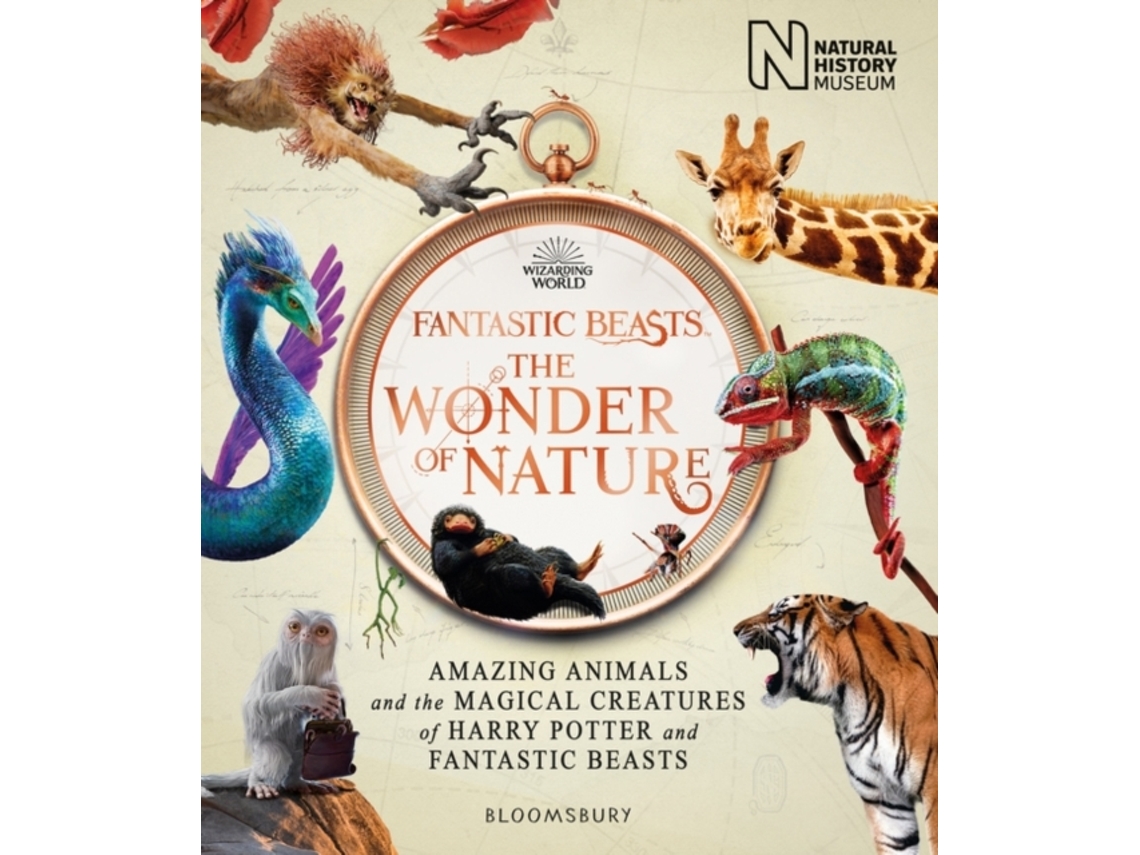 Livro Fantastic Beasts The Wonder of Nature de London Natural History Museum (Inglês - Capa Dura)