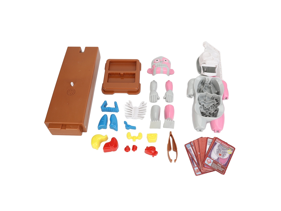 Human Body Anatomy Toy Educational Interactive Play Set For Toddlers