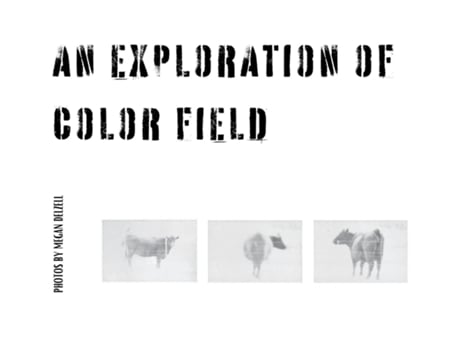 Livro An Exploration In Color Field de Megan Delzell (Inglês)