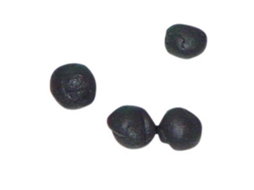 Asari Tungsten