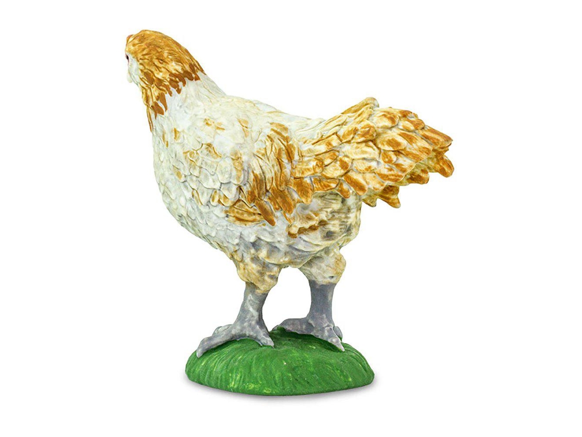 SAFARI Ameraucana Chicken