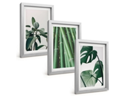 Composição De Quadros Hastes De Bambu E Folhas De Monstera Espelharte (3 Peças 20x30 Cm)