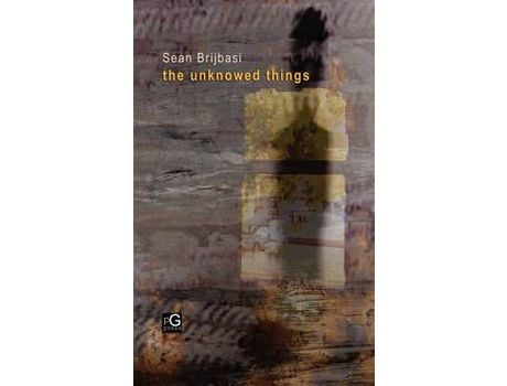 Livro The Unknowed Things de Sean Brijbasi ( Inglês )