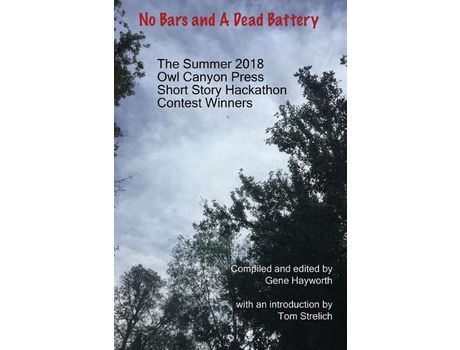 Livro No Bars And A Dead Battery:  The Summer 2018 Owl Canyon Press Short Story Hackathon Contest Winners de Hayworth Gene ( Inglês )