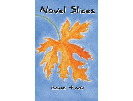 Livro Novel Slices Issue 2 de Hardy Griffin ( Inglês )