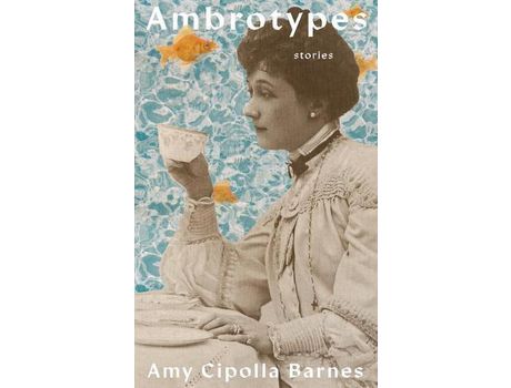 Livro Ambrotypes de Amy Cipolla Barnes ( Inglês )