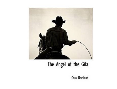 Livro The Angel Of The Gila de Cora Marsland ( Inglês )