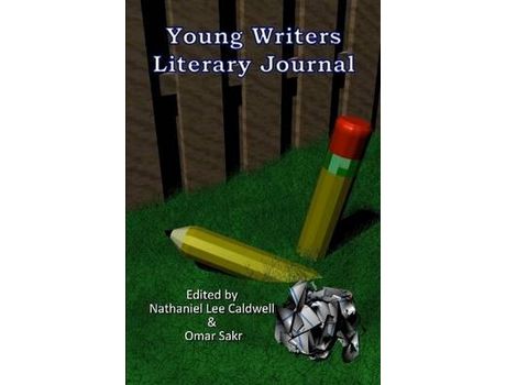 Livro Young Writers Literary Journal - 2010 de Writers Society Young Writers Society ( Inglês )