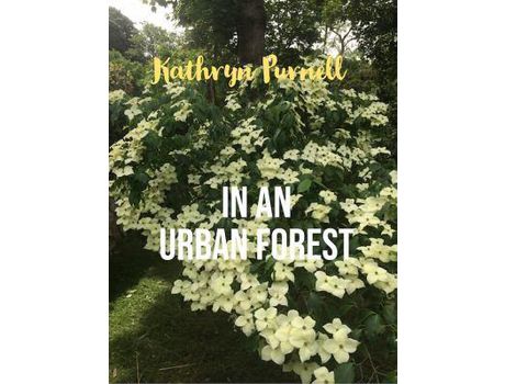 Livro In An Urban Forest de Kathryn Purnell ( Inglês )