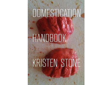 Livro Domestication Handbook de Kristen Stone ( Inglês )