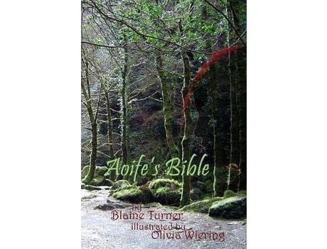 Livro Aoife'S Bible de Blaine Turner ( Inglês )