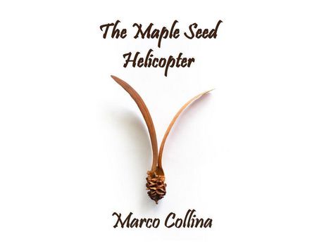 Livro The Maple Seed Helicopter de Marco Collina ( Inglês )
